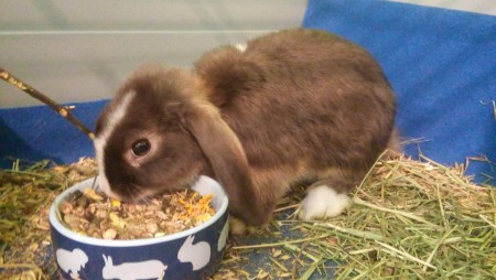 SC Ivanovo 23.8.2015